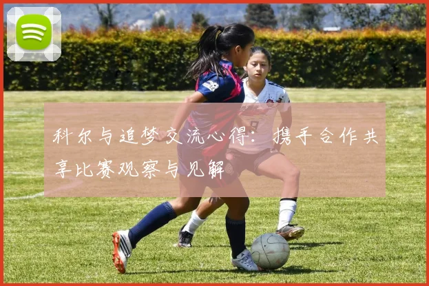 科尔与追梦交流心得：携手合作共享比赛观察与见解
